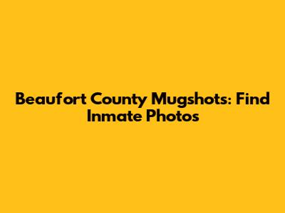 Beaufort County Mugshots: Find Inmate Photos
