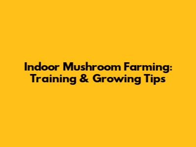 Indoor Mushroom Farming: Training & Growing Tips