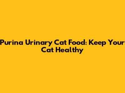 Purina Urinary Cat Food: Keep Your Cat Healthy